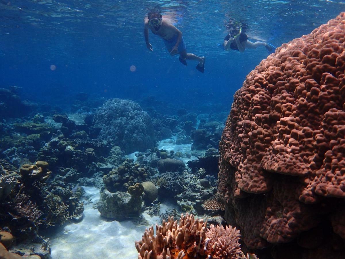 Blue Coral Homestay Karimunjawa Exterior foto